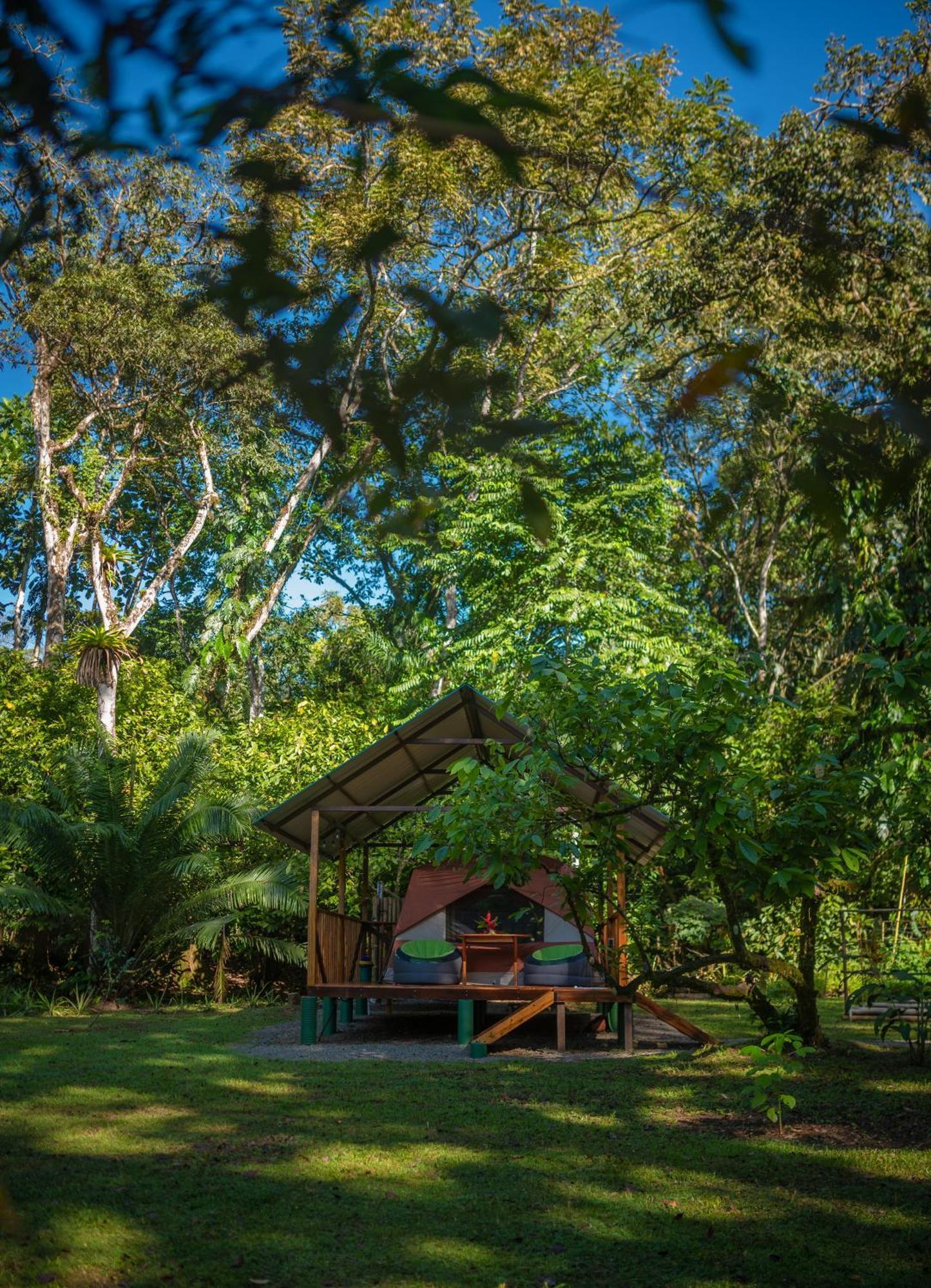 Dolphin Quest Costa Rica Villa Piedras Blancas Exterior photo